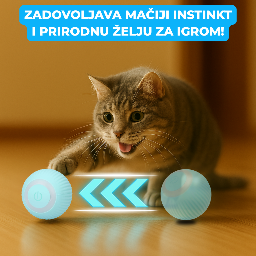 Interaktivna Loptica Za Mačke