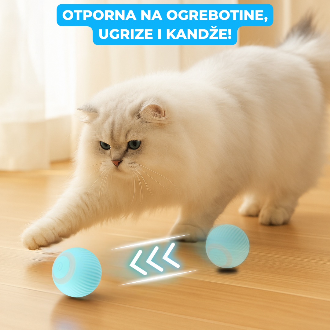 Interaktivna Loptica Za Mačke