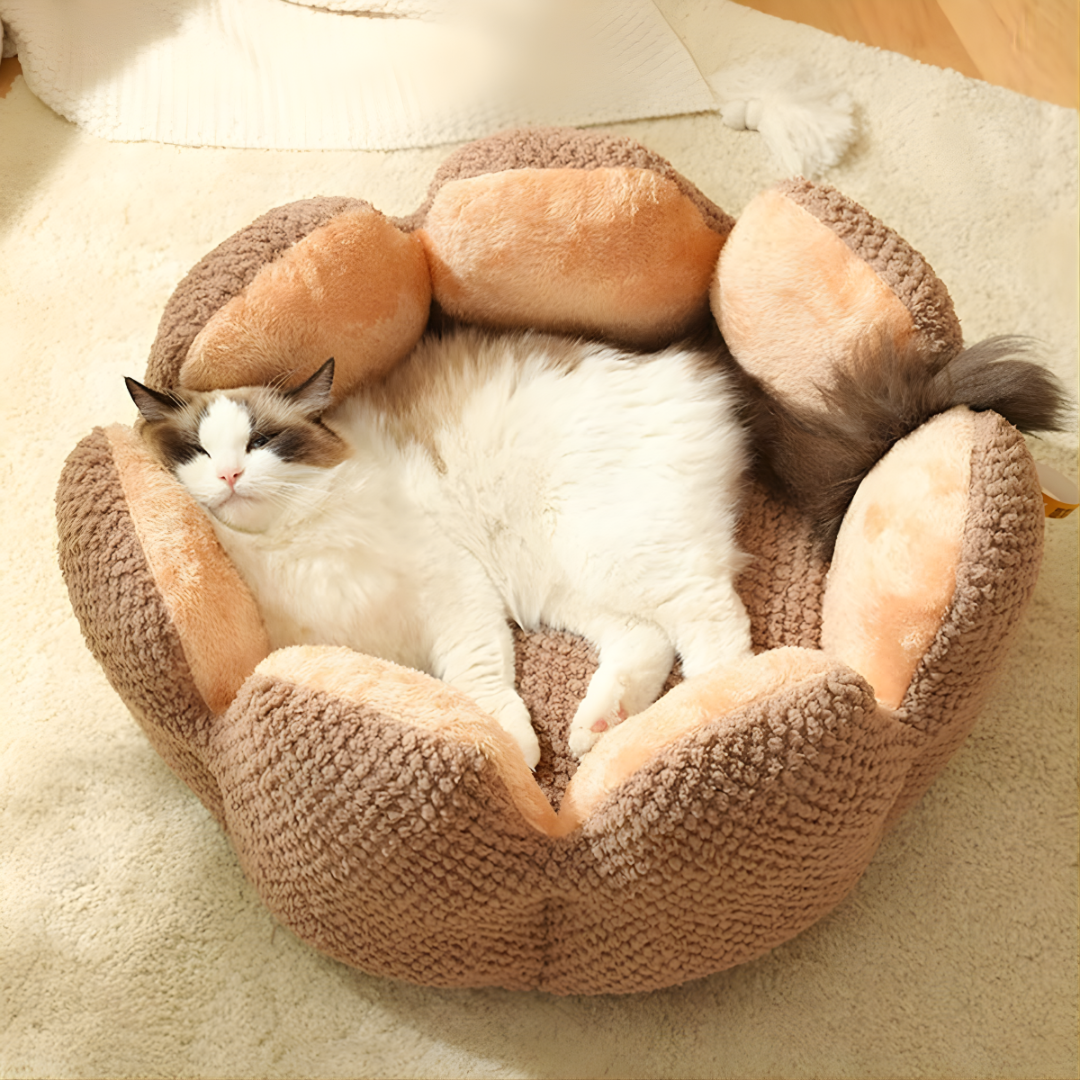 Cvetni Krevet za Ljubimce