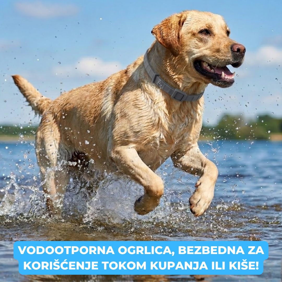 Trixie Podesiva Ogrlica protiv buva i krpelja za ljubimce