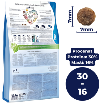 Mesečni Paket Hrane za Vašeg Psa Preporučen od Veterinara