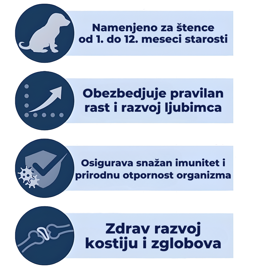 Mesečni Paket Hrane za Vašeg Psa Preporučen od Veterinara