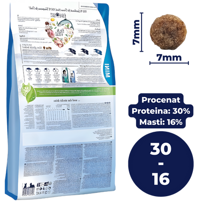 Mesečni Paket Hrane za Vašeg Psa Preporučen od Veterinara