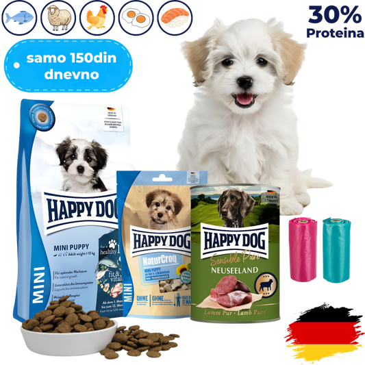 Mesečni Paket Hrane za Vašeg Psa Preporučen od Veterinara