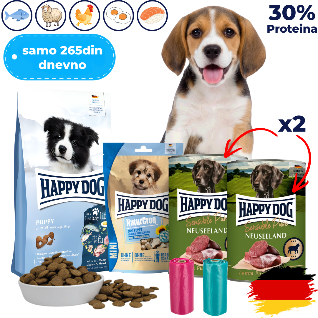 Mesečni Paket Hrane za Vašeg Psa Preporučen od Veterinara