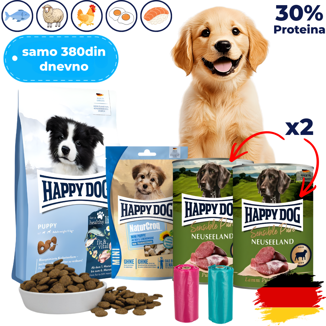 Mesečni Paket Hrane za Vašeg Psa Preporučen od Veterinara