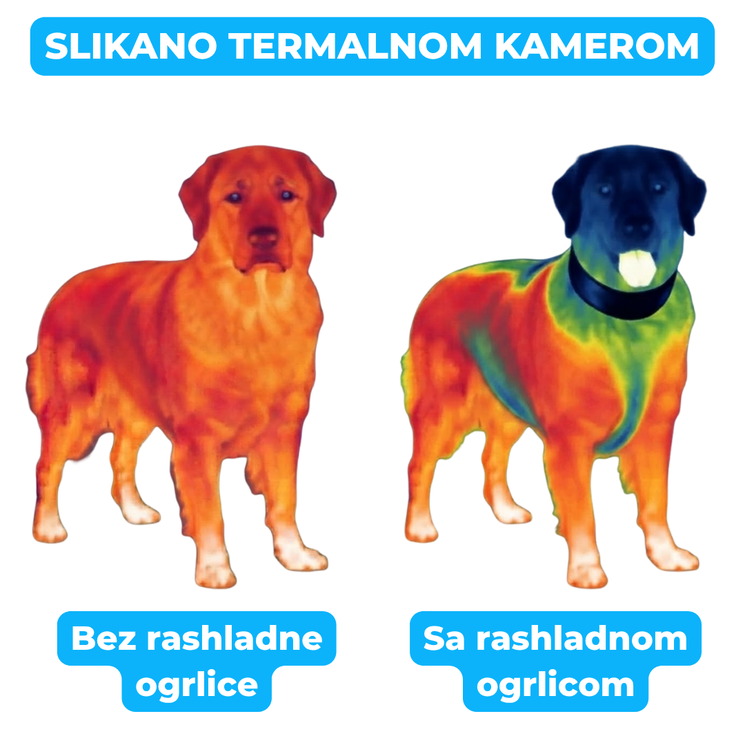 Rashladna Ogrlica sa Gelom za Hladjenje Pasa