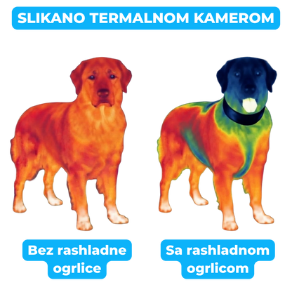 Rashladna Ogrlica sa Gelom za Hladjenje Pasa
