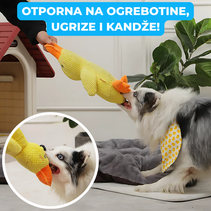 Umirujuća Patka Za Ljubimce
