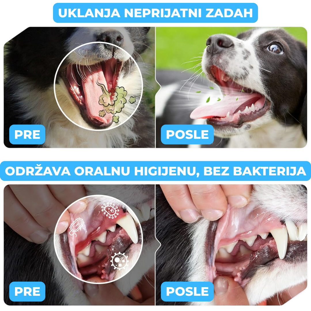 Trixie Dentalne Tablete za Higijenu Zuba Pasa
