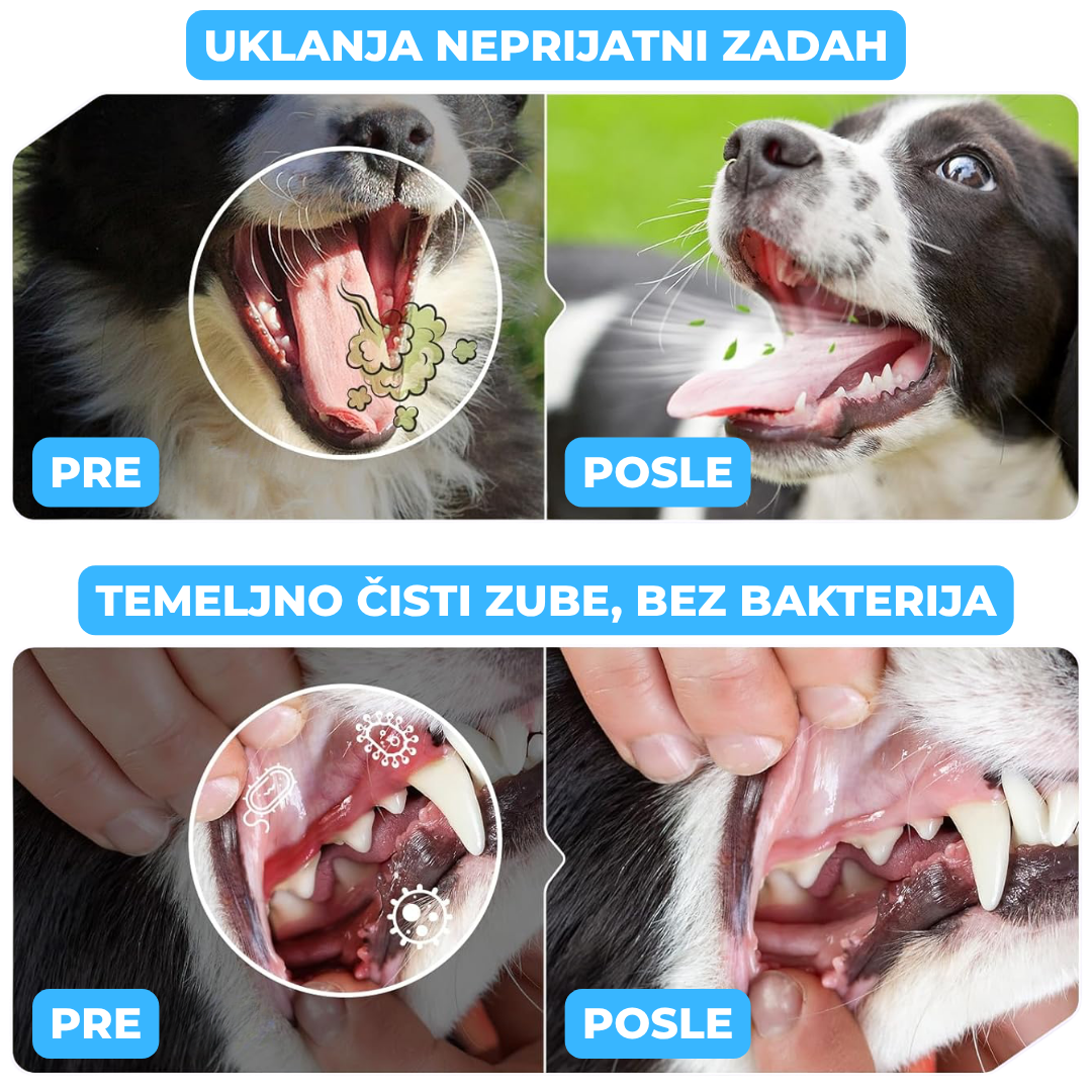 Trixie Dentalni Sprej za Higijenu Zuba Pasa