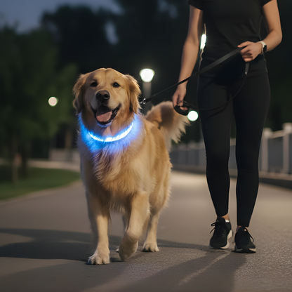 Svetleća Ogrlica za Pse