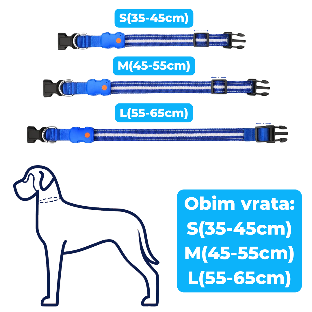 Svetleća Ogrlica za Pse
