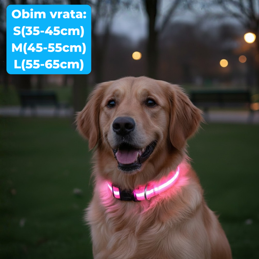 Svetleća Ogrlica za Pse