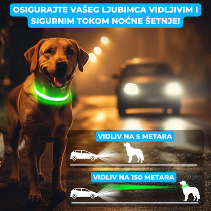 Svetleća Ogrlica Za Pse