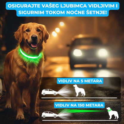 Svetleća Ogrlica za Pse