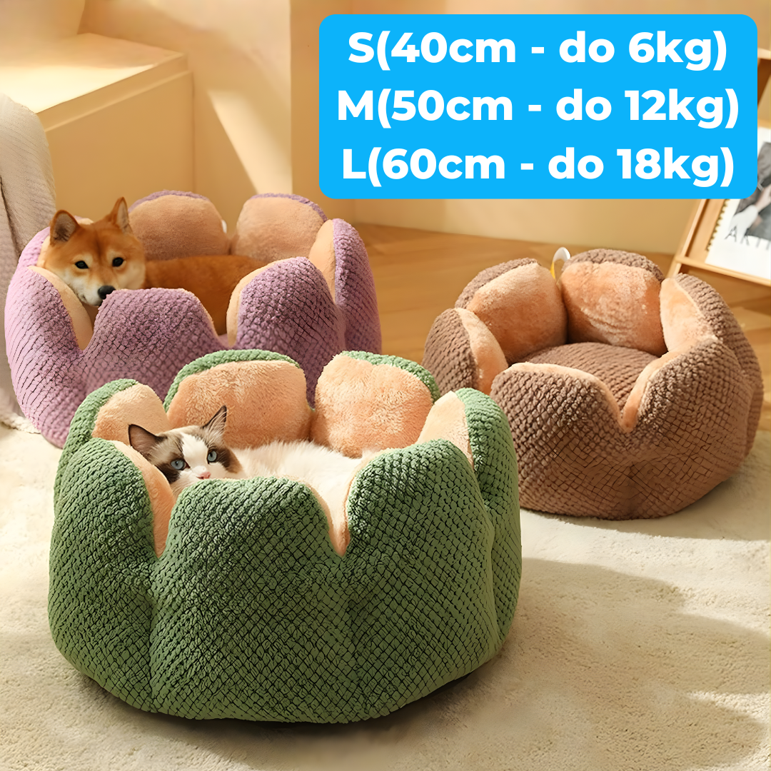 Cvetni Krevet za Ljubimce