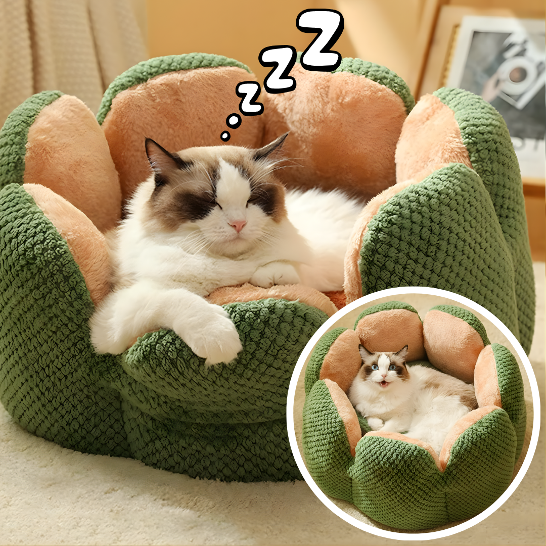 Cvetni Krevet za Ljubimce