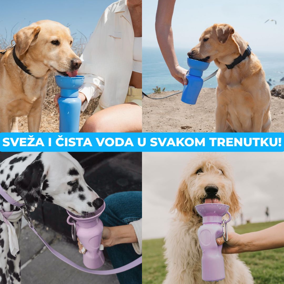 2u1 Flašica Sa Činijom Za Vodu