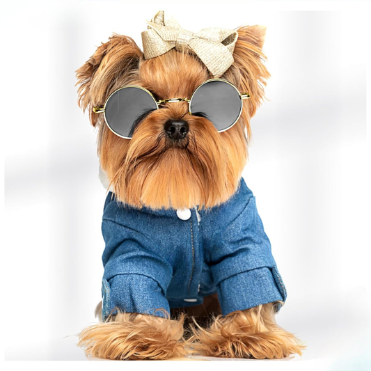 Naočare za Ljubimce