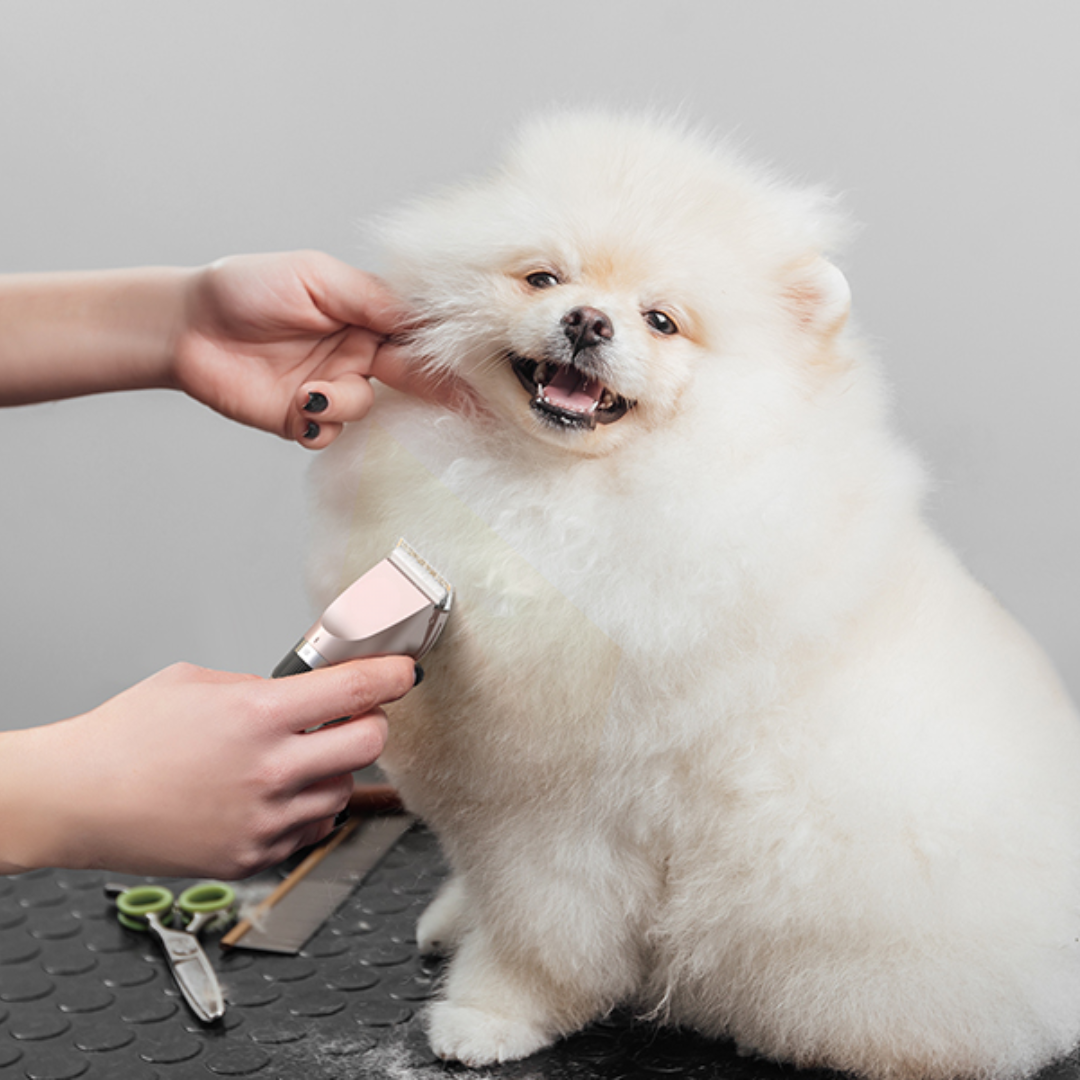 Profesionalna Set za Šišanje Ljubimaca