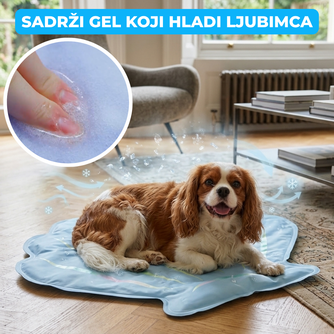 Rashladna Školjka sa Gelom za Hladjenje Ljubimaca